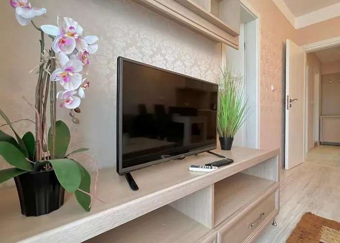 Bratanov Harmony Monte Carlo 阳光海滩